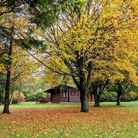 אינגלטון Pinecroft Lodges מראה חיצוני תמונה